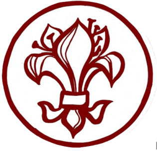 Kolędowanie z harcerkami.