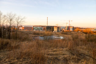 Wzgórze Madery. Fot. Bogusław Świerzowski / krakow.pl