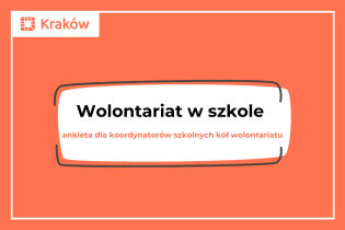 mpi-ow-900_600_wolontariat.jpg. Fot. Materiały organizatora