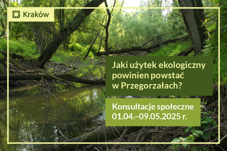 Zdjęcie przedstawiające las łęgowy w Przegorzałach. Na pierwszym planie widoczny nieduży strumyk. Na zielonym tle napis: Jaki użytek ekologiczny powinien powstać w Przegorzałach