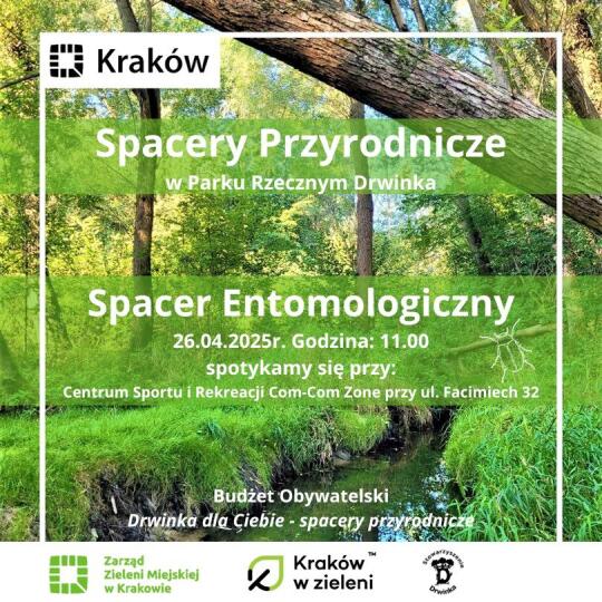 Entomologiczny spacer przyrodniczy w parku rzecznym Drwinka