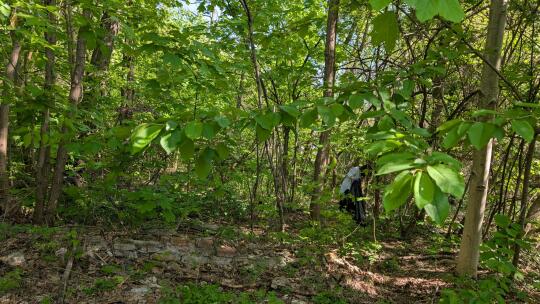Kraków włączył się do akcji „Posprzątaj z nami Małopolskę!”