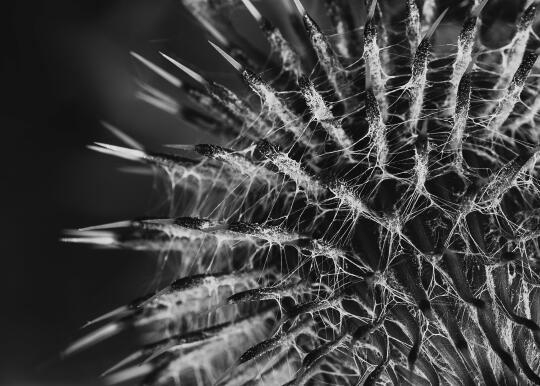 Maj w galeriach Nowohuckiego Centrum Kultury