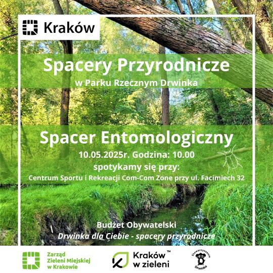 Spacer przyrodniczy w parku rzecznym Drwinka