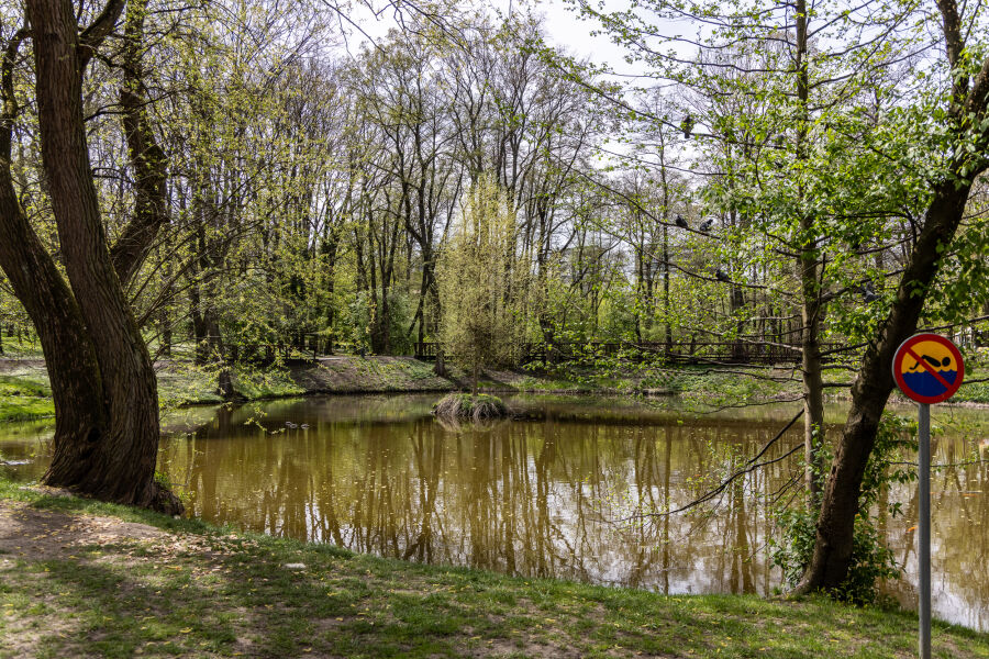 Park Duchacki
