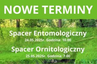 Spacery przyrodnicze w parku rzecznym Drwinka – odkrywaj świat owadów i ptaków