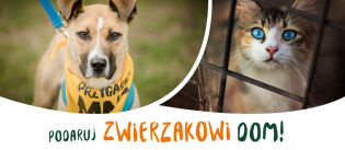 „Mądra adopcja”- spotkanie edukacyjne