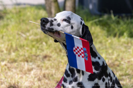 Chorwacja bliżej niż myślisz – zapraszamy na piknik chorwacki