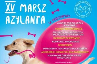 XV Marsz Azylanta – święto czworonogów już 24 maja