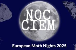 Nocne obserwacje ciem w parku rzecznym Drwinka Noc Ciem 2025