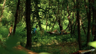 park Aleksandry-Północ