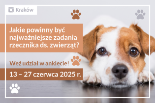 Grafika przedstawia zaproszenie do wzięcia udziału w ankiecie pod nazwą Jakie powinny być najważniejsze zadania rzecznika ds. zwierząt?