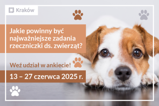 Grafika przedstawia małego pieska i informację do wzięcia udziały w ankiecie pod nazwą Jakie powinny być najważniejsze zadania rzeczniczki ds. zwierząt? Weź udział w ankiecie!