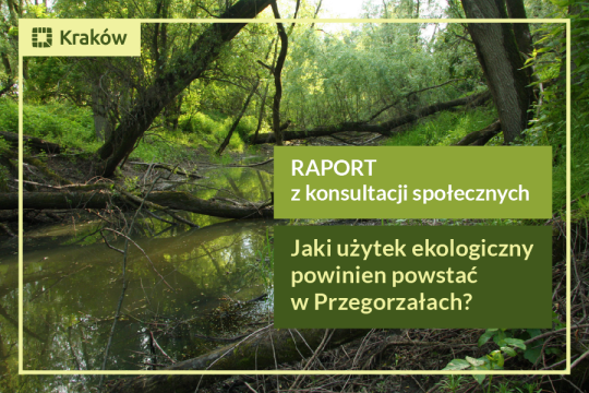 Zdjęcie przedstawiające las łęgowy. Na pierwszym planie widoczny nieduży strumyk. Na zielonym tle napis: Raport z konsultacji społecznych Jaki użytek ekologiczny powinien powstać w Przegorzałach?