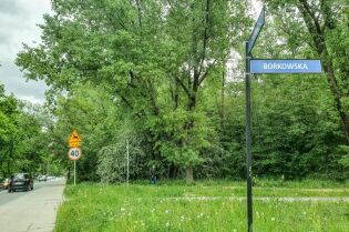 Remont ul. Borkowskiej – zmiany w organizacji ruchu i komunikacji miejskiej Ulica Borkowska