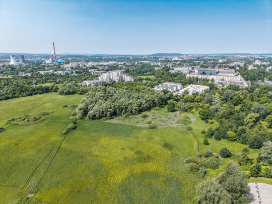 Trzymaj psa na smyczy na terenach chronionych