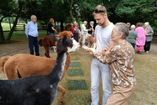 Wycieczka do Alpaca Home 07.07.2025 Karmienie Alpak