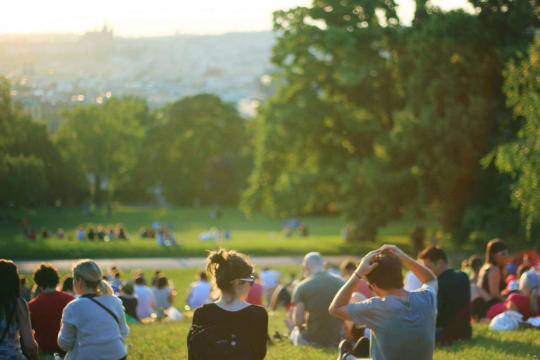 „Kina na trawie” w wakacyjne czwartki