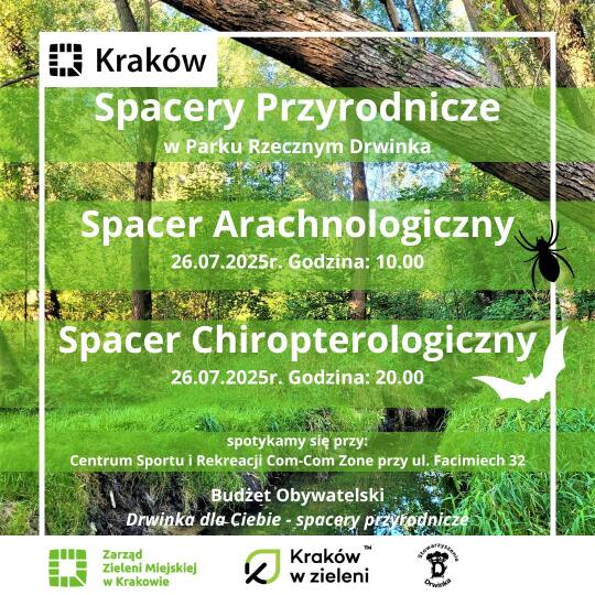 Spacery przyrodnicze w parku rzecznym Drwinka – świat pajęczaków i nietoperzy