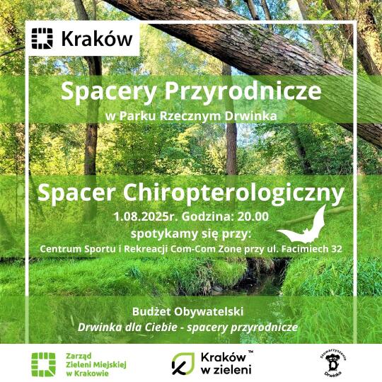 Spacer chiropterologiczny w parku rzecznym Drwinka