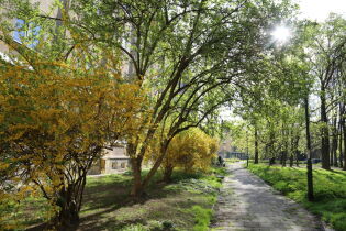 lato nowa huta park