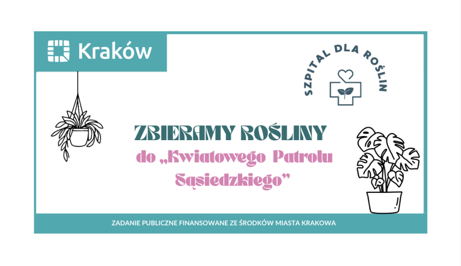 czerwony krakowiak