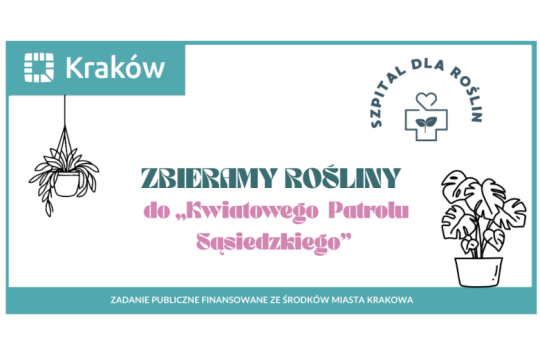 czerwony krakowiak