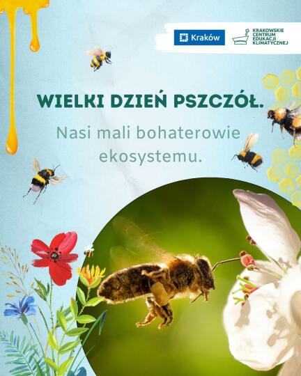 Odkryj tajemnice pszczół na spacerze po Łąkach Nowohuckich