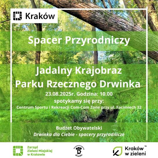 Spacery w parku rzecznym Drwinka