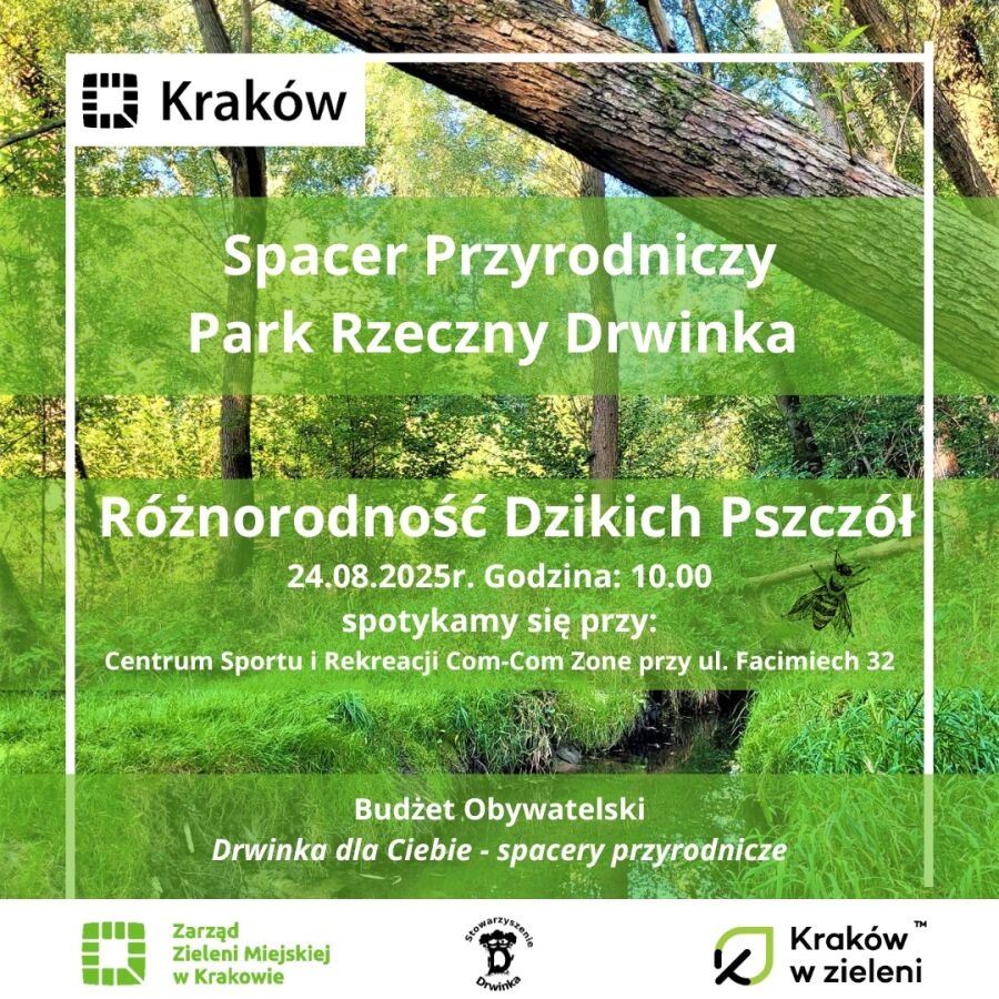 spacer przyrodniczy park rzeczny Drwinka