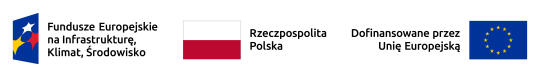 Logo FENikS