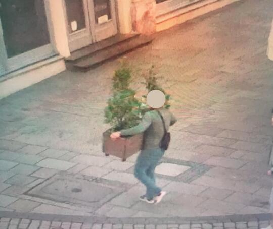 Próbował wynieść donicę z Rynku Głównego. Przeprosił i zapłacił mandat