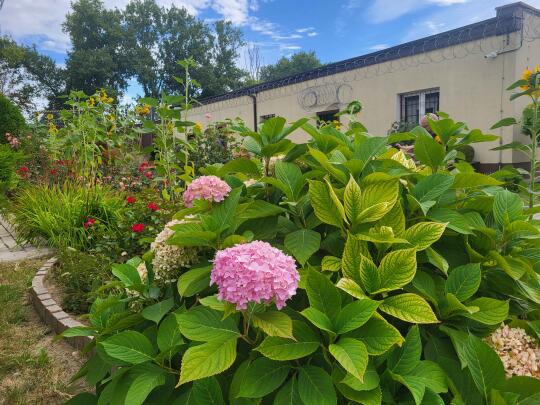 Resocjalizacja przez zieleń