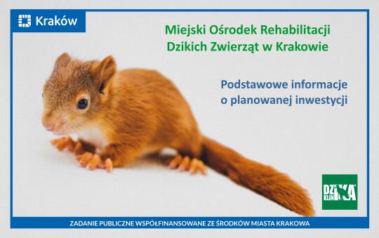 Kraków planuje ośrodek rehabilitacji dzikich zwierząt