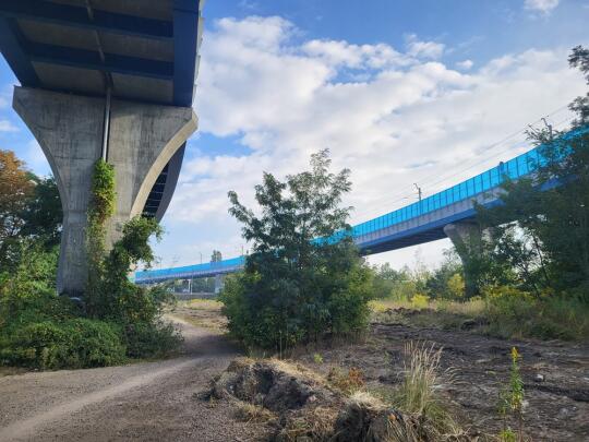 Kolejny etap pracy w parku Kolejowym