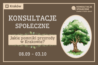 Jakie pomniki przyrody w Krakowie?. Fot. Wydział Dialogu, Konsultacji i Kontaktu Obywatelskiego