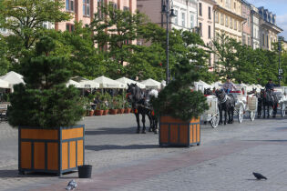 Zamknięcie postoju dorożek i zakaz przejazdu przez Rynek Główny