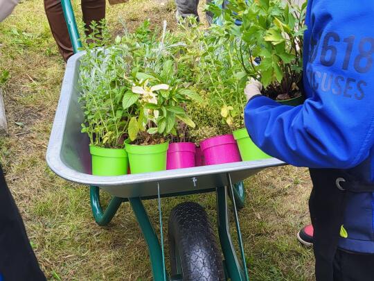 Błękitno-zielona metamorfoza przy krakowskich szkołach
