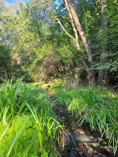 Weekendowe spacery w parku rzecznym Drwinka