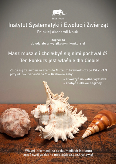 Piękno zrównoważone – konkurs muszli z myślą o przyrodzie