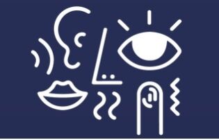 SENSORYCZNIE I NA SERIO