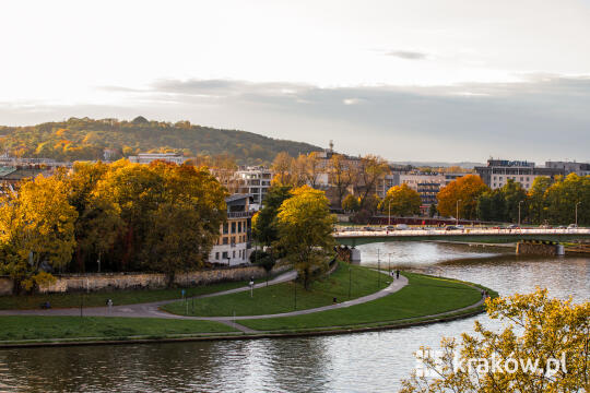 Przełomowy spadek stężenia benzo(a)pirenu w Krakowie