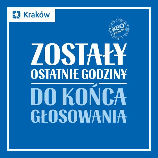 Ostatnie godziny głosowania w budżecie obywatelskim