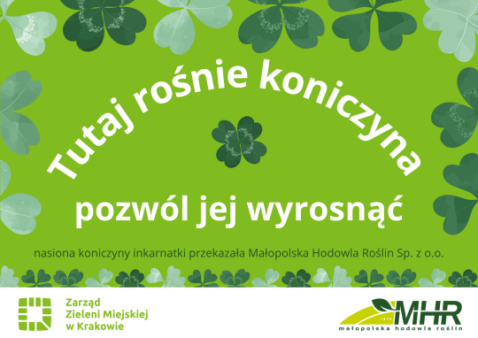 Będzie bardziej zielono w parku Kolejowym