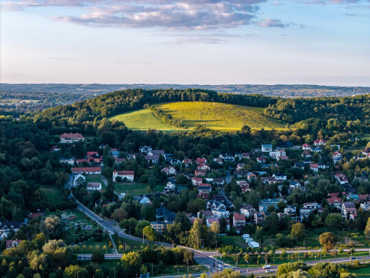 Las łęgowy na Zwierzyńcu użytkiem ekologicznym