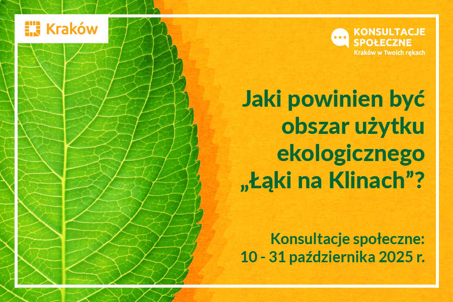 Konsultacje społeczne: Jaki powinien być obszar użytku ekologicznego „Łąki na Klinach”?