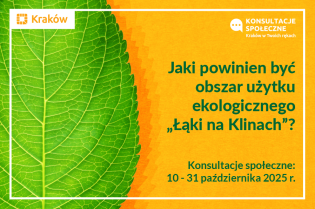 „Łąki na Klinach” – mieszkańcy zdecydują o przyszłości użytku ekologicznego
