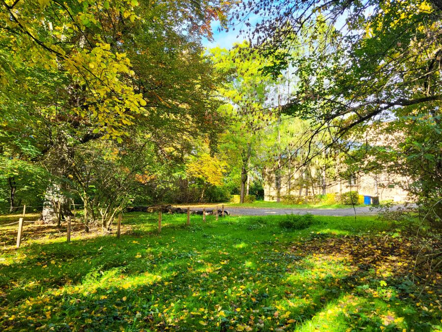 Park przy dworze Czeczów