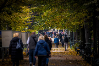 Rosnąca liczba mieszkańców Krakowa to stały trend
