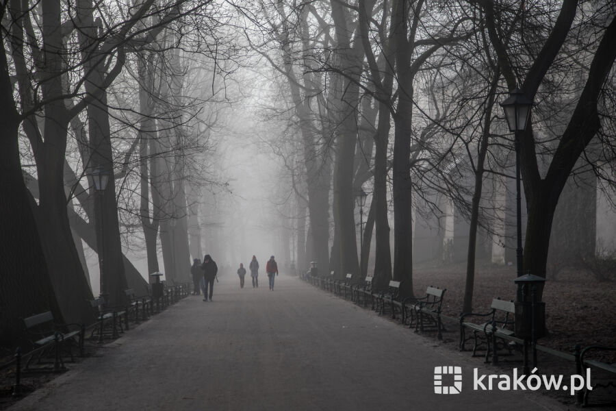 Uwaga na gęste mgły